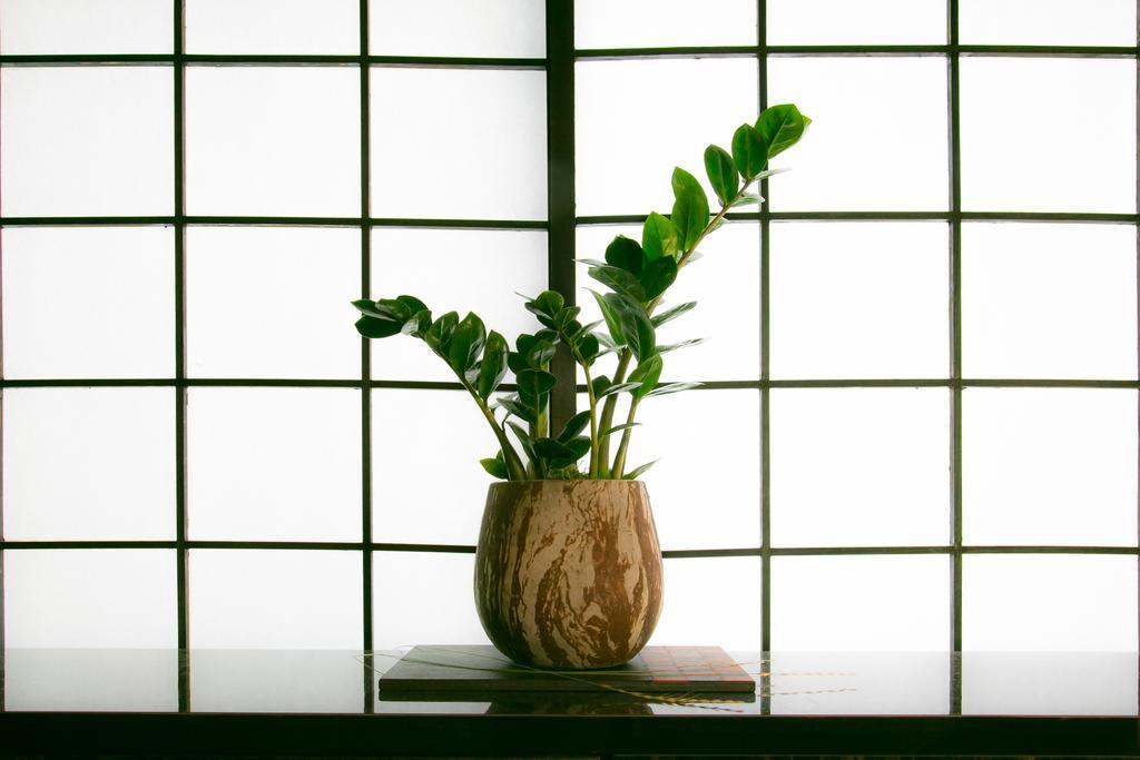 Hosta Nijo Aoi Villa Kyoto Eksteriør billede